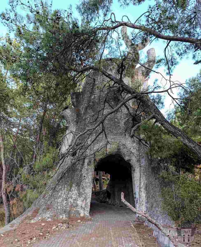 Naturland - Abandoned Hotel Park - Antalya, Urbex- Turkey